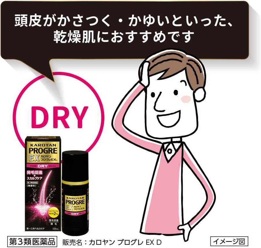 Karoyan Progre EX D 120mL