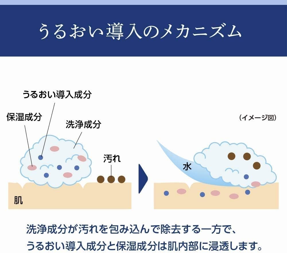 Senka Perfect Whip 4.2 oz (120 g)