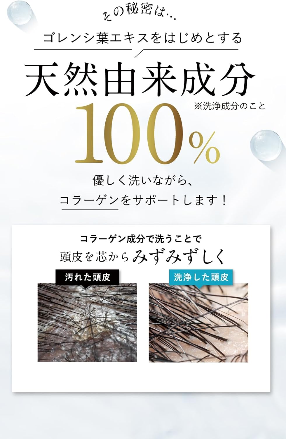 Noalfre Raw Aroma Collagen Shampoo 300ml Night Lavender [6-in-1 All-in-One Like Salon-Fresh Hydrated Beautiful Hair]