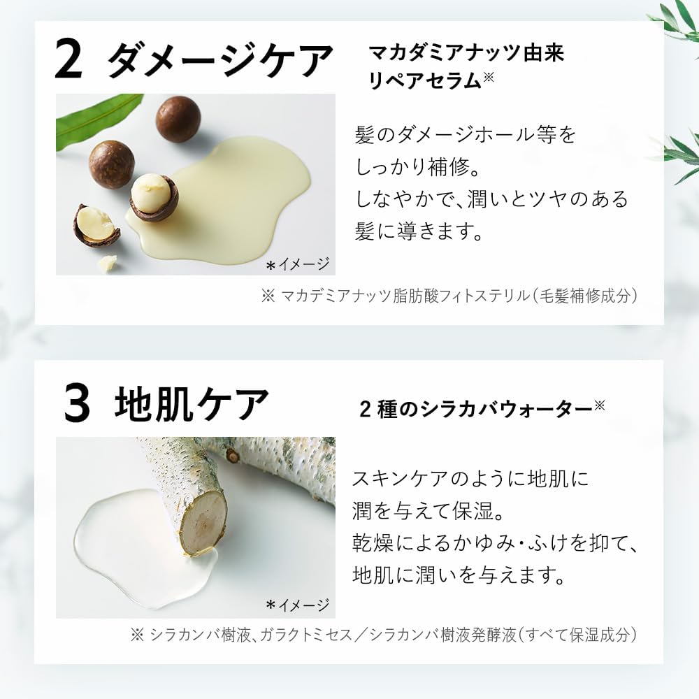 Botanist Shampoo Treatment Set Scalp Cleanse