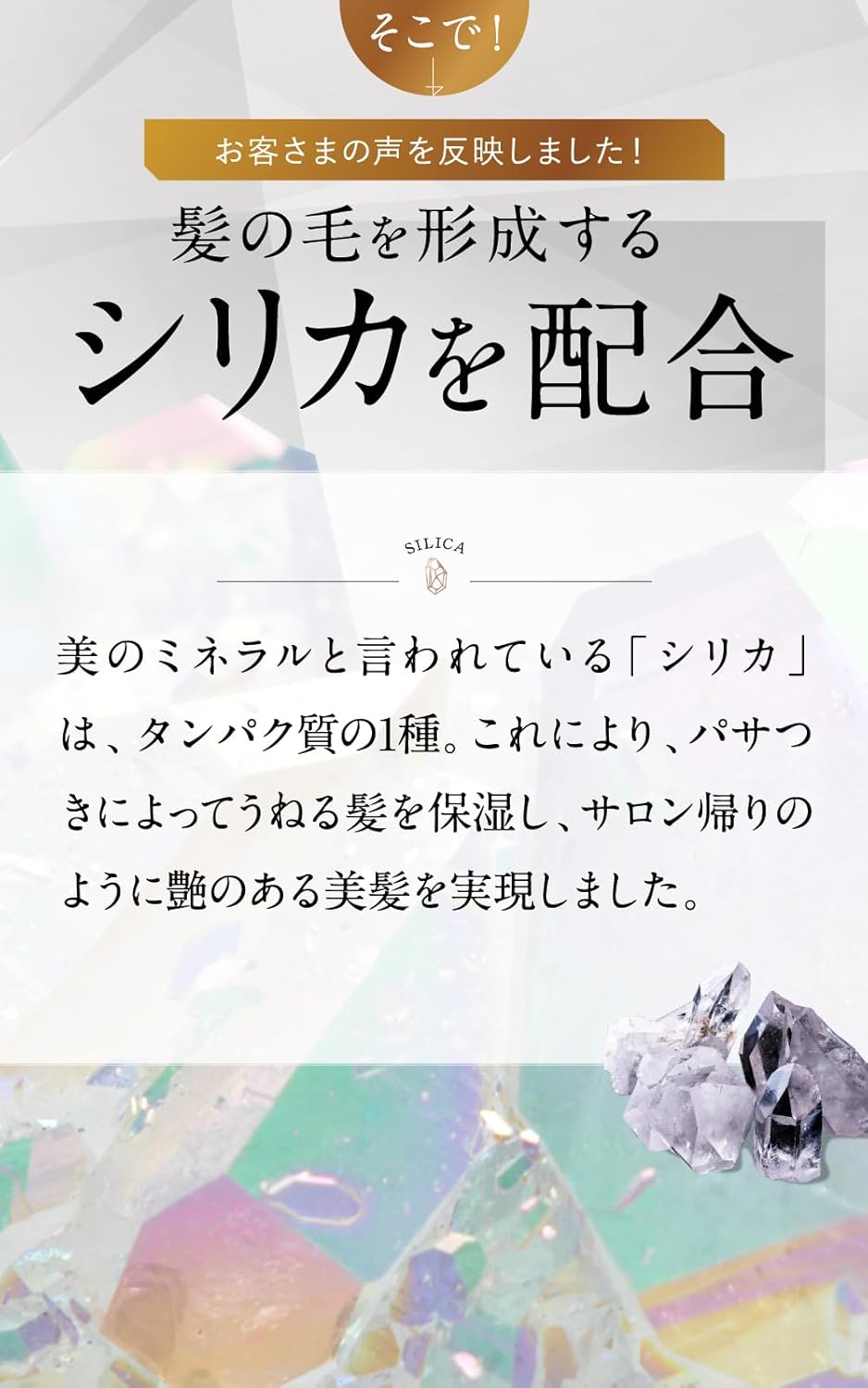 Noalfre Raw Aroma Collagen Shampoo 300ml Night Lavender [6-in-1 All-in-One Like Salon-Fresh Hydrated Beautiful Hair]