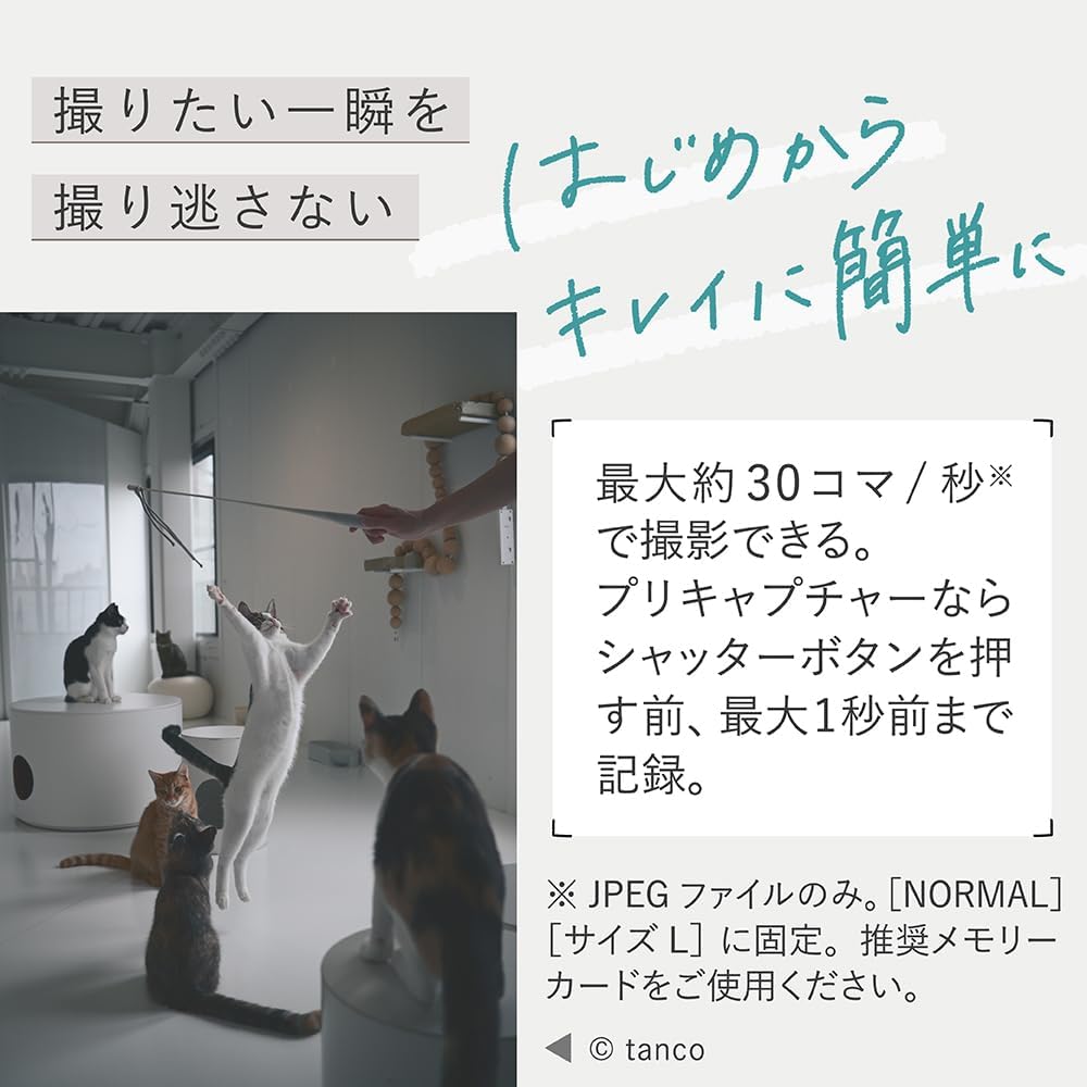 Nikon Mirrorless SLR Z50II 16-50 VR Lens Kit with Standard Zoom APS-C Z Mount + [SanDisk Genuine] SD Card, 128 GB SDXC Class 10, UHS-I V30, Up to 200MB/s Reading, SanDisk Extreme PRO SDSDXXD