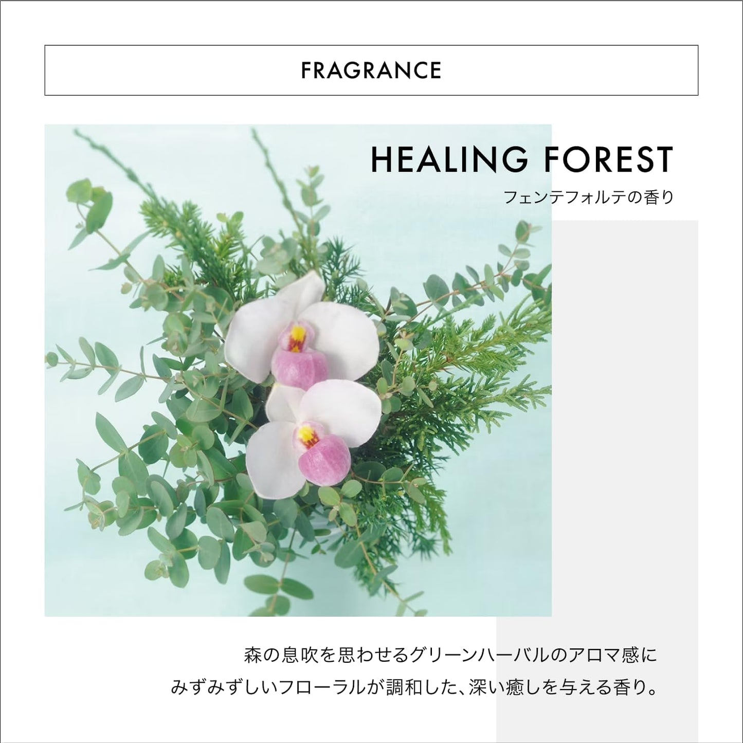 THC FUENTE FORTE (フェンテフォルテ) トリートメントホリスティックケア 資生堂プロフェッショナル サロン専売品 (250g)