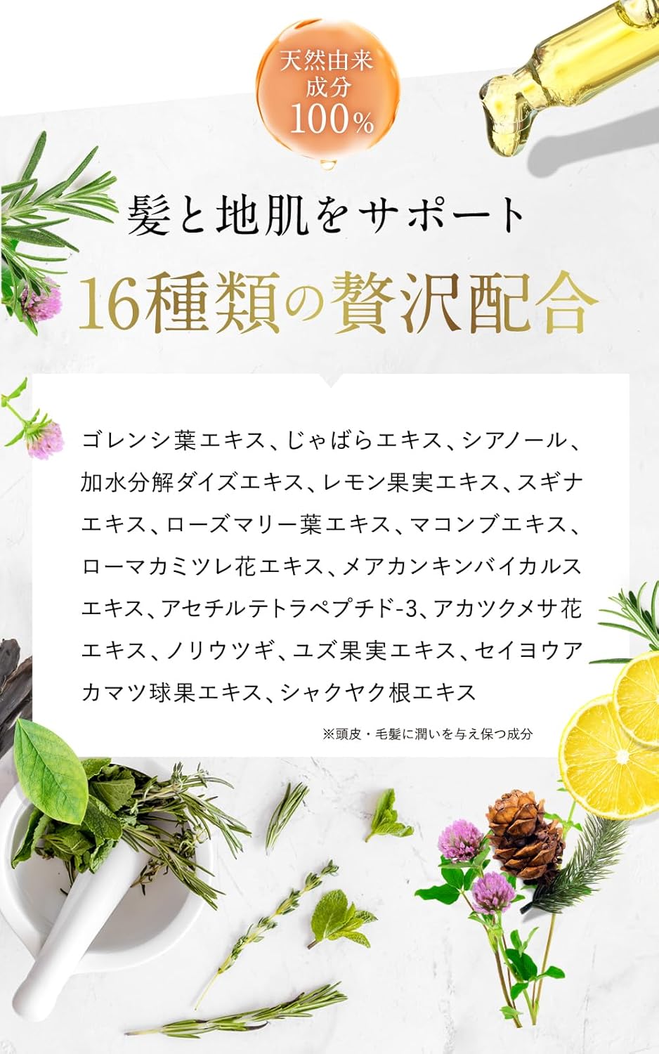 Noalfre Raw Aroma Collagen Shampoo 300ml Night Lavender [6-in-1 All-in-One Like Salon-Fresh Hydrated Beautiful Hair]