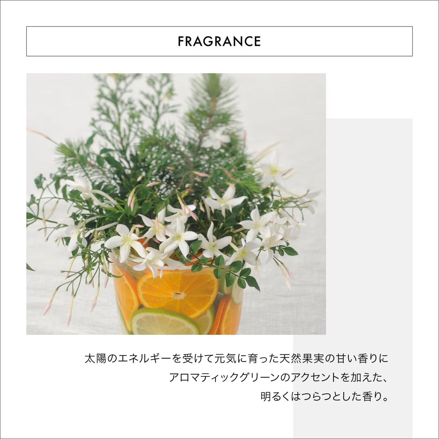 ADENOVITAL (Adenovital) Shampoo for Hair Loss, Thinning Hair, Volume Adenosine Professional Salon Exclusive Shiseido Professional (250ml)