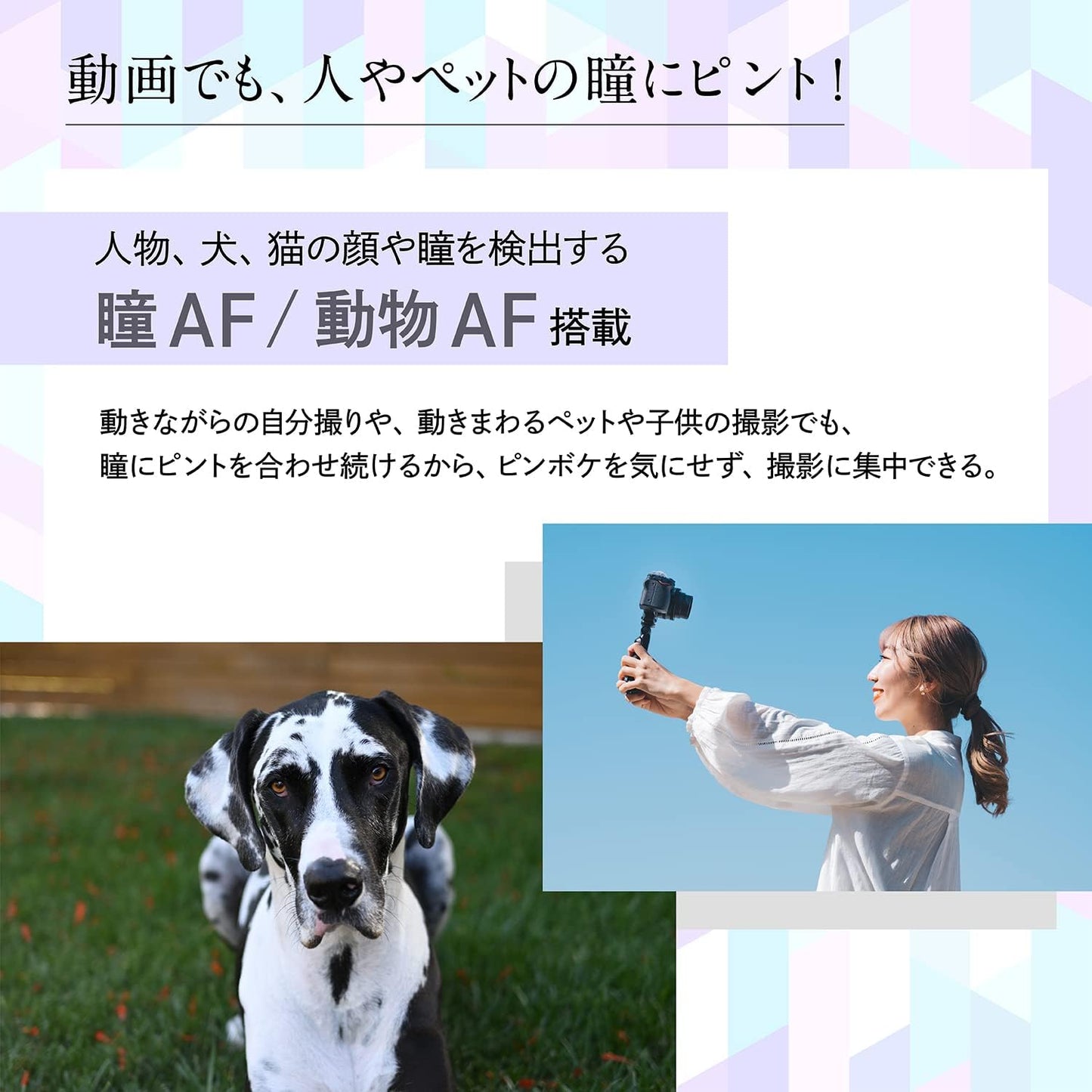 Nikon Z30 Mirrorless SLR Z30 16-50 VR Lens Kit, Z Mount, APS-C Video Vlog, Image Stabilization Black + [SanDisk Genuine] SD Card, 128GB SDXC, Class 10, UHS-II V90, Read Up to 300 MB, San/s PRO SDSDXDM