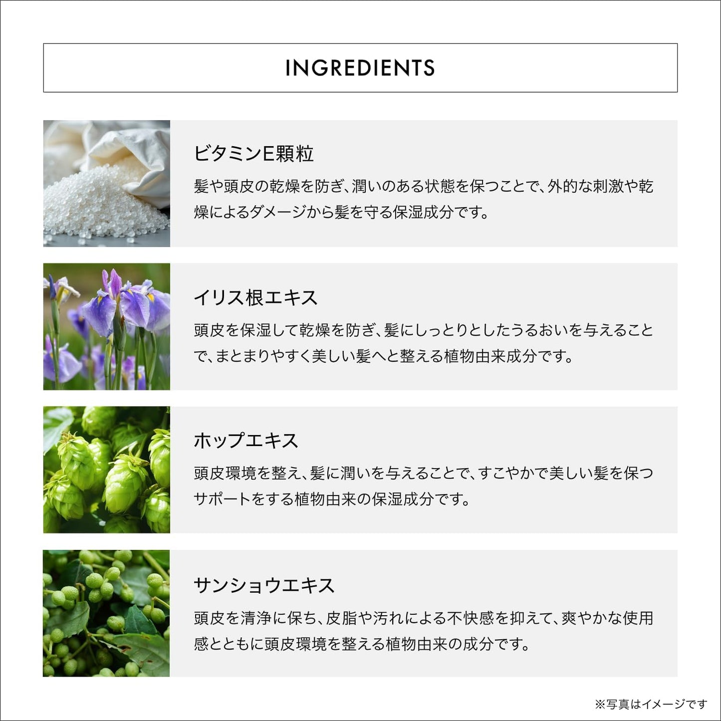 THC FUENTE FORTE (フェンテフォルテ) トリートメントホリスティックケア 資生堂プロフェッショナル サロン専売品 (250g)