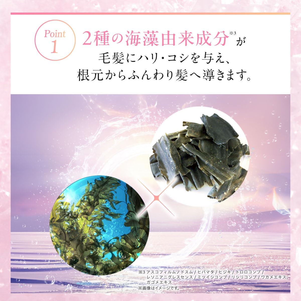 Kaminoto mof, Mof, Volumizing Shampoo & Volume Up Conditioner Set (10.1 fl oz (300 ml) each, White Floral Scent