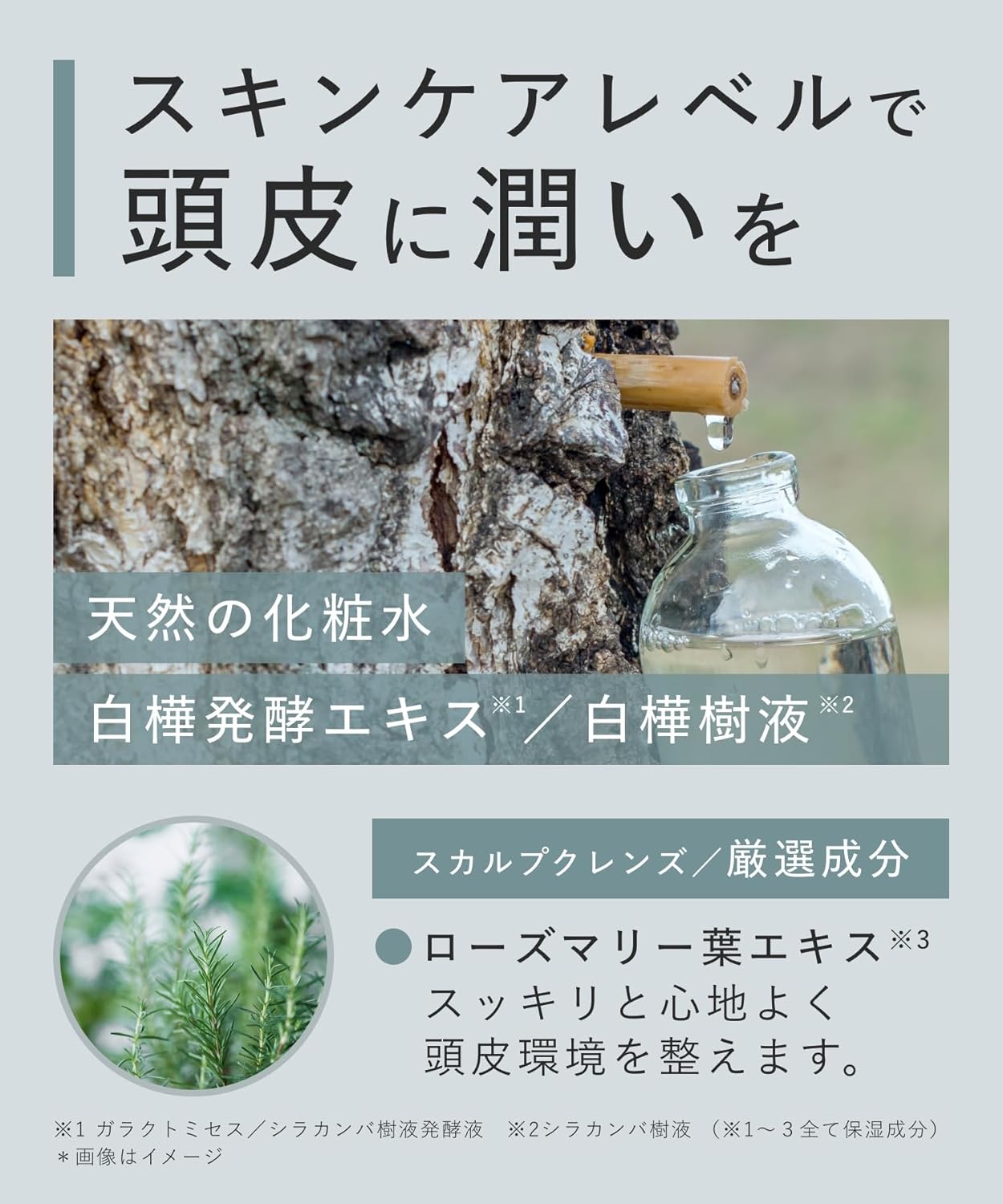 Botanist Shampoo Treatment Set Scalp Cleanse