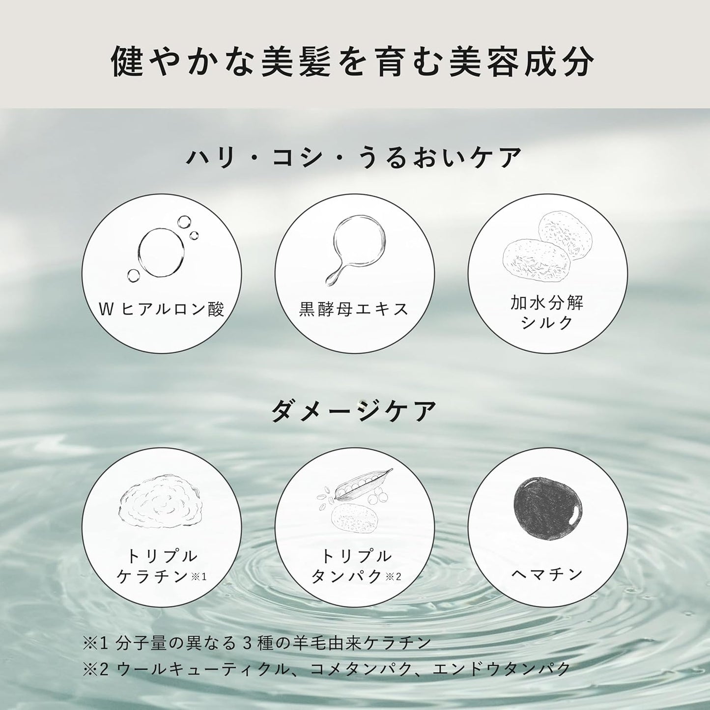 SENN Scalp Treatment Shampoo (Shin _kokage) Non-Silicone Shampoo (No Rinse or Conditioner Required), Scalp Care, Keratin, Hematin